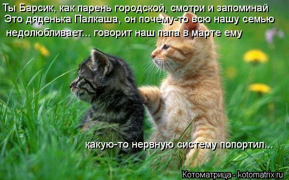 Ты Барсик, как парень городской, смотри и запоминай Это дяденька Палкаша, он почему-то всю нашу семью... Котоматрица: Ты Барсик, как парень городской, смотри и запоминай Это дяденька Палкаша, он почему-то всю нашу семью недолюбливает... говорит наш папа в мар