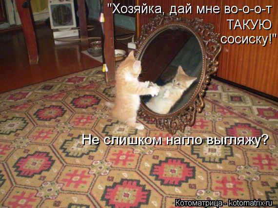 "Хозяйка, дай мне во-о-о-т ТАКУЮ сосиску!" Не слишком нагло выгляжу?... Котоматрица: "Хозяйка, дай мне во-о-о-т ТАКУЮ сосиску!" Не слишком нагло выгляжу?
