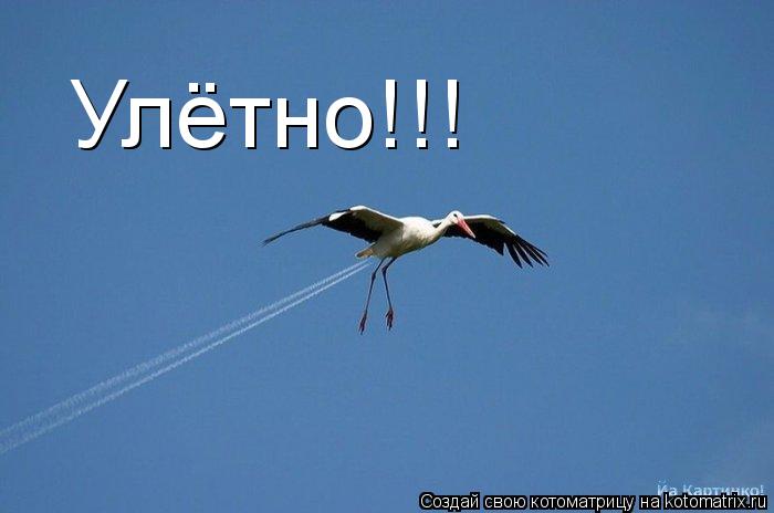 Улётно!!!... Котоматрица: Улётно!!!