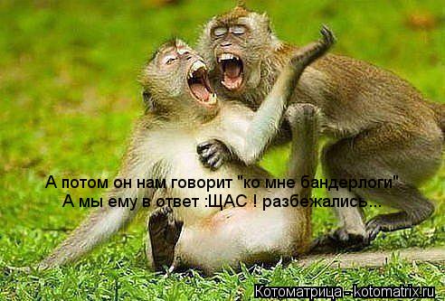 А потом он нам говорит "ко мне бандерлоги" А мы ему в ответ :ЩАС ! разбежались...... Котоматрица: А потом он нам говорит "ко мне бандерлоги" А мы ему в ответ :ЩАС ! разбежались...