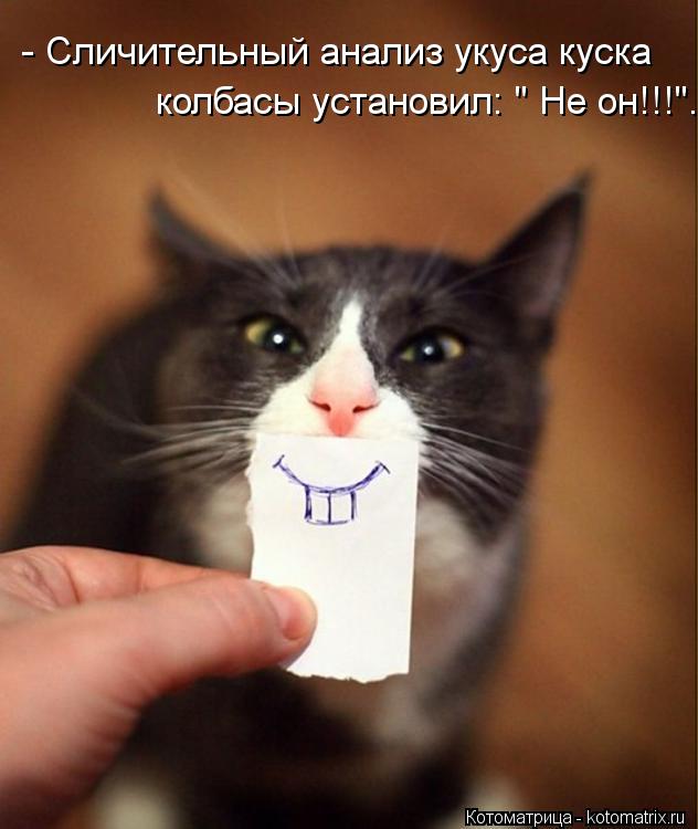 - Сличительный анализ укуса куска колбасы установил: " Не он!!!".... Котоматрица: - Сличительный анализ укуса куска колбасы установил: " Не он!!!".