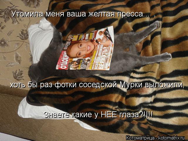 Утомила меня ваша желтая пресса... Хоть бы раз про Мурку мою что-нить черкнули! Утомила меня ваша жел... Котоматрица: Утомила меня ваша желтая пресса... Хоть бы раз про Мурку мою что-нить черкнули! Утомила меня ваша желтая пресса... хоть бы раз фотки соседской