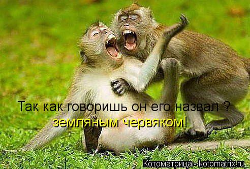 Так как говоришь он его назвал ? земляным червяком!... Котоматрица: Так как говоришь он его назвал ? земляным червяком!