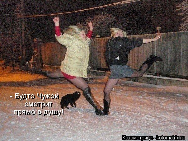 - Будто Чужой смотрит прямо в душу!... Котоматрица: - Будто Чужой смотрит прямо в душу!