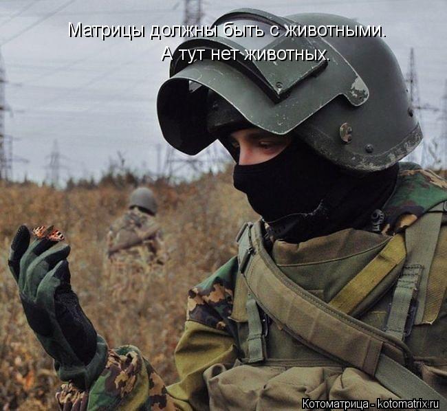 Матрицы должны быть с животными. А тут нет животных.... Котоматрица: Матрицы должны быть с животными. А тут нет животных.