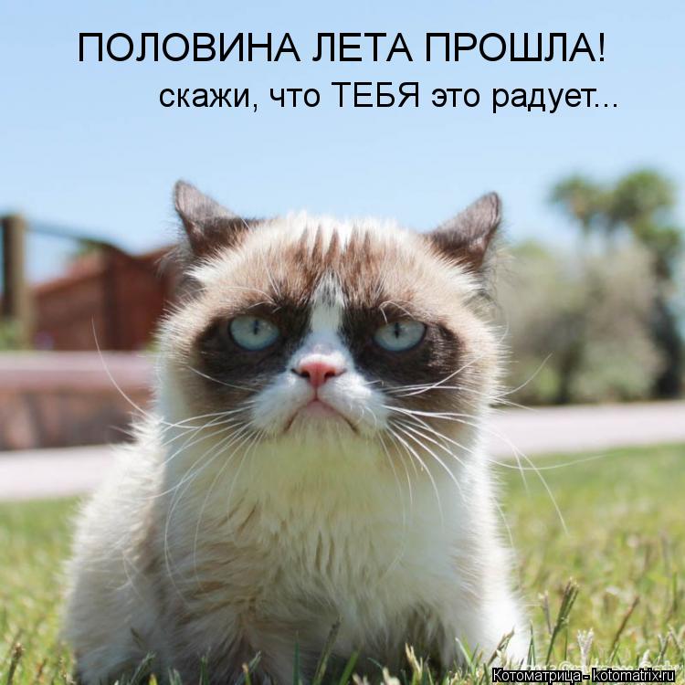 ПОЛОВИНА ЛЕТА ПРОШЛА! скажи, что ТЕБЯ это радует...... Котоматрица: ПОЛОВИНА ЛЕТА ПРОШЛА! скажи, что ТЕБЯ это радует...
