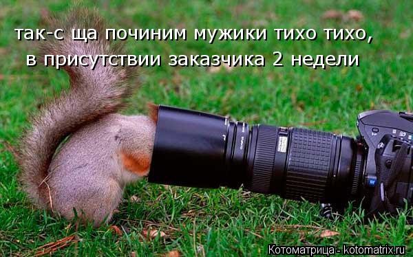 так-с ща починим мужики тихо тихо, в присутствии заказчика 2 недели... Котоматрица: так-с ща починим мужики тихо тихо, в присутствии заказчика 2 недели