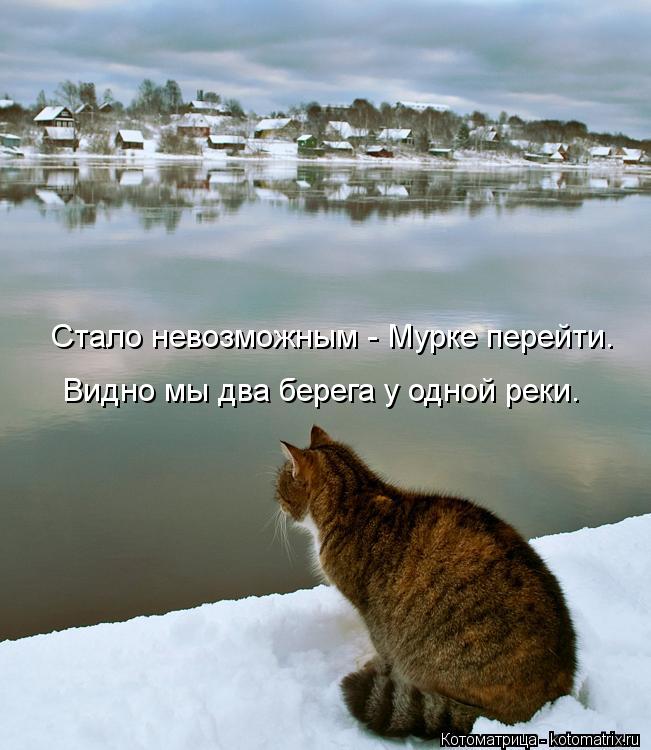 Видно мы два берега у одной реки. Стало невозможным - Мурке перейти.... Котоматрица: Видно мы два берега у одной реки. Стало невозможным - Мурке перейти.