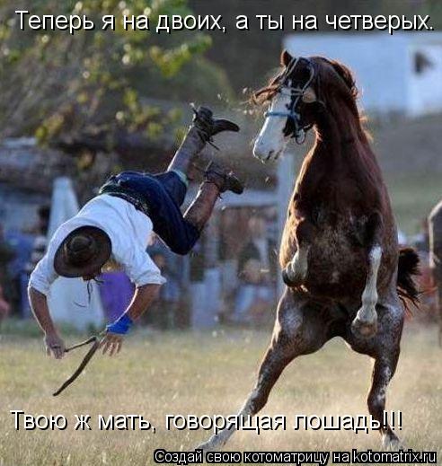 Теперь я на двоих, а ты на четверых. Твою ж мать, говорящая лошадь!!!... Котоматрица: Теперь я на двоих, а ты на четверых. Твою ж мать, говорящая лошадь!!!