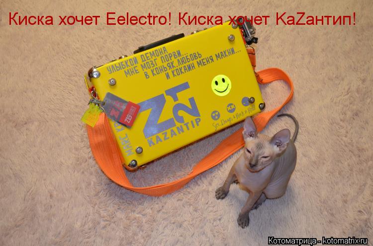 Киска хочет Eelectro! Киска хочет KaZантип!... Котоматрица: Киска хочет Eelectro! Киска хочет KaZантип!