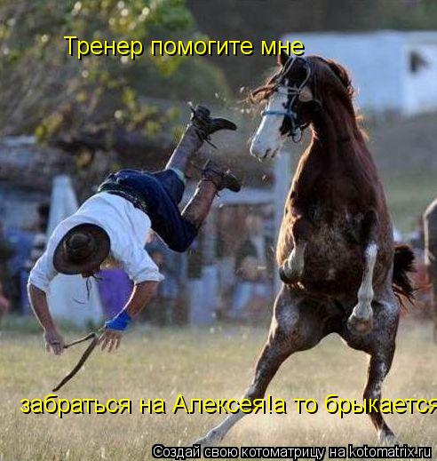 Тренер помогите мне забраться на Алексея!а то брыкается... Котоматрица: Тренер помогите мне забраться на Алексея!а то брыкается