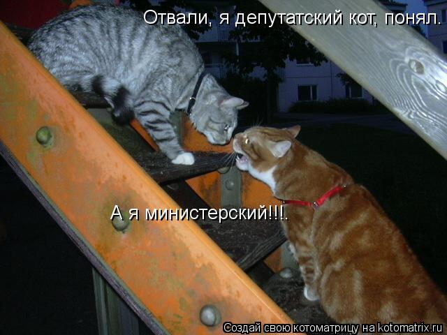 Отвали, я депутатский кот, понял. А я министерский!!!.... Котоматрица: Отвали, я депутатский кот, понял. А я министерский!!!.