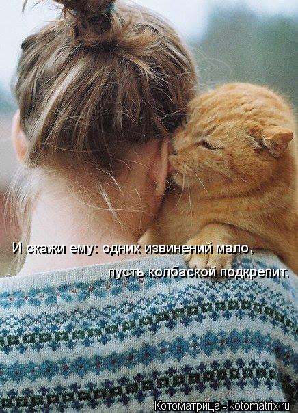 И скажи ему: одних извинений мало , пусть колбаской подкрепит.... Котоматрица: И скажи ему: одних извинений мало , пусть колбаской подкрепит.