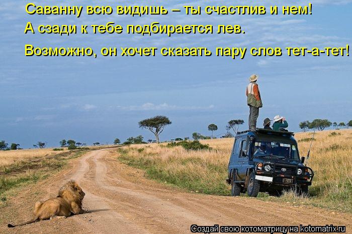 Саванну всю видишь – ты счастлив и нем! А сзади к тебе подбирается лев. Возможно, он хочет сказать па... Котоматрица: Саванну всю видишь – ты счастлив и нем! А сзади к тебе подбирается лев. Возможно, он хочет сказать пару слов тет-а-тет!