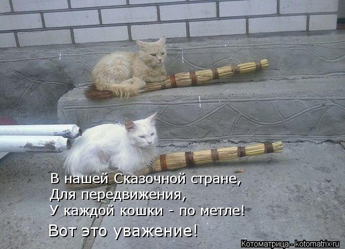 В нашей Сказочной стране, Для передвижения, У каждой кошки - по метле! Вот это уважение!... Котоматрица: В нашей Сказочной стране, Для передвижения, У каждой кошки - по метле! Вот это уважение!