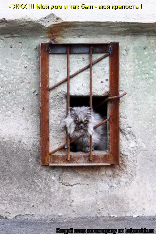 - ЖКХ !!! Мой дом и так был - моя крепость !... Котоматрица: - ЖКХ !!! Мой дом и так был - моя крепость !