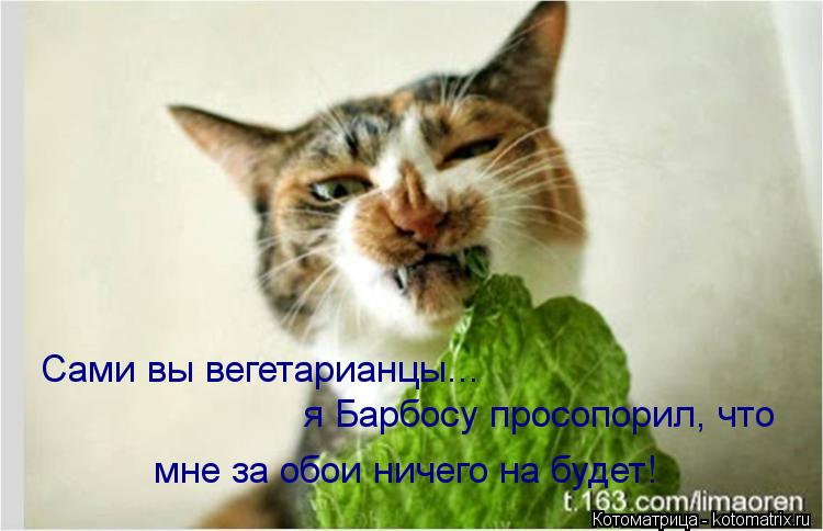 http://kotomatrix.ru/images/lolz/2013/07/20/kotomatritsa_ng.jpg