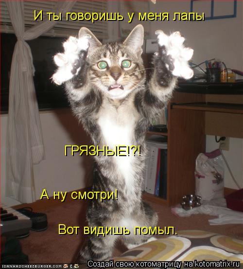 И ты говоришь у меня лапы ГРЯЗНЫЕ!?! А ну смотри! Вот видишь помыл.... Котоматрица: И ты говоришь у меня лапы ГРЯЗНЫЕ!?! А ну смотри! Вот видишь помыл.