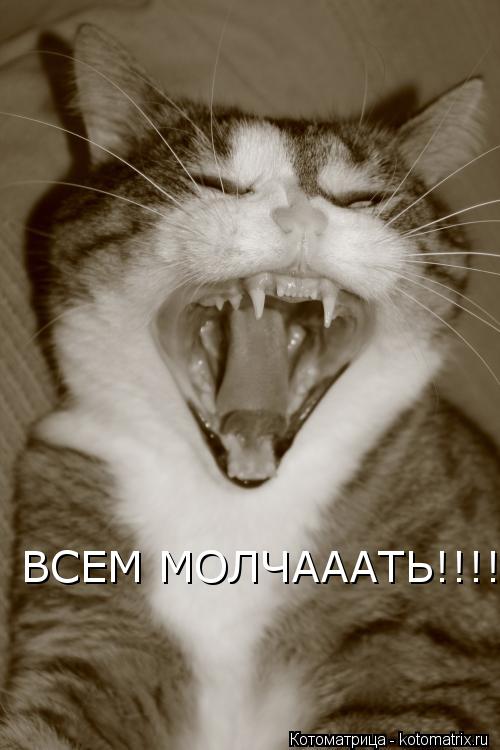 ВСЕМ МОЛЧАААТЬ!!!!!!!!!... Котоматрица: ВСЕМ МОЛЧАААТЬ!!!!!!!!!