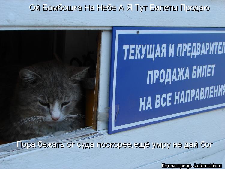 Ой Бомбошка На Небе А Я Тут Билеты Продаю Пора бежать от суда поскорее,ещё умру не дай бог... Котоматрица: Ой Бомбошка На Небе А Я Тут Билеты Продаю Пора бежать от суда поскорее,ещё умру не дай бог