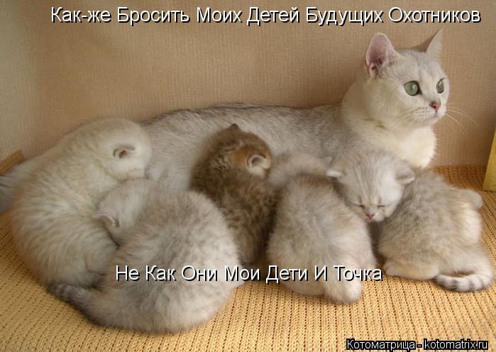 Как-же Бросить Моих Детей Будущих Охотников Не Как Они Мои Дети И Точка... Котоматрица: Как-же Бросить Моих Детей Будущих Охотников Не Как Они Мои Дети И Точка