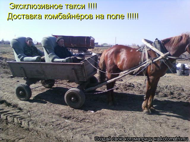 Эксклюзивное такси !!!! Доставка комбайнёров на поле !!!!!... Котоматрица: Эксклюзивное такси !!!! Доставка комбайнёров на поле !!!!!