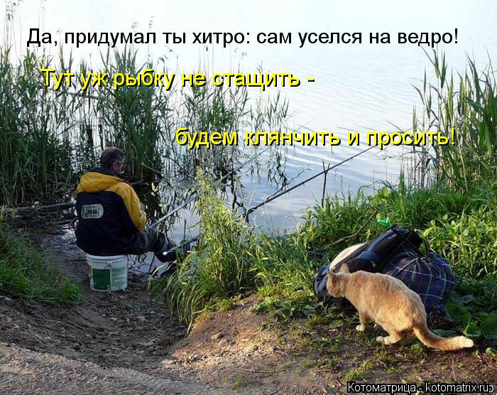 Тут уж рыбку не стащить - Да, придумал ты хитро: сам уселся на ведро! будем клянчить и просить!... Котоматрица: Тут уж рыбку не стащить - Да, придумал ты хитро: сам уселся на ведро! будем клянчить и просить!