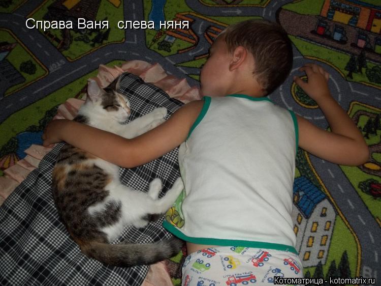 Справа Ваня слева няня... Котоматрица: Справа Ваня слева няня