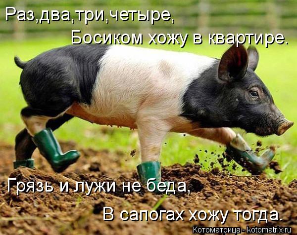 Котоматрица: Раз,два,три,четыре, Босиком хожу в квартире. Грязь и лужи не беда, В сапогах хожу тогда.