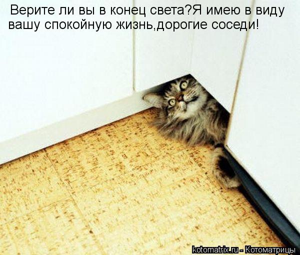 Верите ли вы в конец света?Я имею в виду вашу спокойную жизнь,дорогие соседи!... Котоматрица: Верите ли вы в конец света?Я имею в виду вашу спокойную жизнь,дорогие соседи!