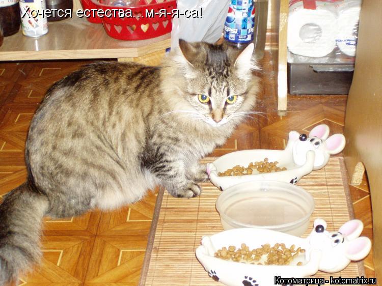 Хочется естества...м-я-я-са!... Котоматрица: Хочется естества...м-я-я-са!