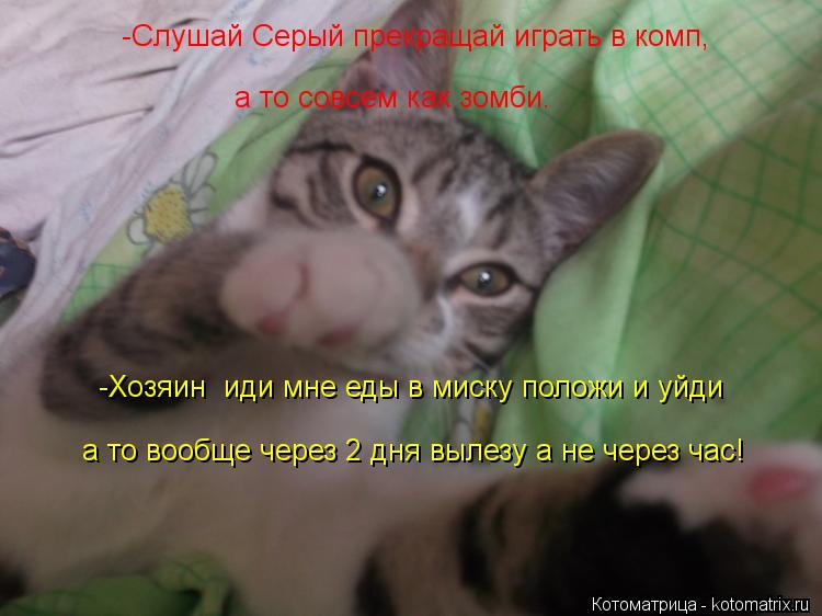-Слушай Серый прекращай играть в комп, а то совсем как зомби. -Хозяин иди мне еды в миску положи и у... Котоматрица: -Слушай Серый прекращай играть в комп, а то совсем как зомби. -Хозяин иди мне еды в миску положи и уйди а то вообще через 2 дня вылезу а не чере
