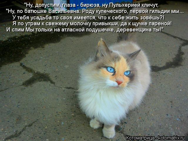Котоматрица: "Ну, допустим, глаза - бирюза, ну Пульхерией кличут, "Ну, по батюшке Васильевна. Роду купеческого, первой гильдии мы... У тебя усадьба то своя им