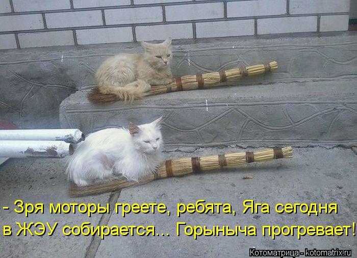 Котоматрица: - Зря моторы греете, ребята, Яга сегодня в ЖЭУ собирается... Горыныча прогревает!