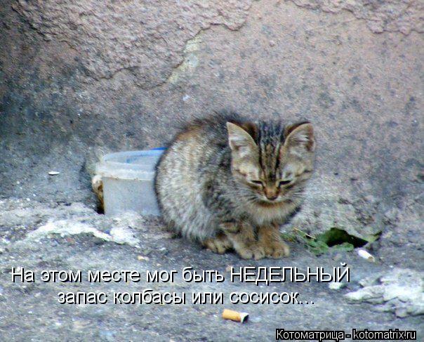 На этом месте мог быть НЕДЕЛЬНЫЙ запас колбасы или сосисок...... Котоматрица: На этом месте мог быть НЕДЕЛЬНЫЙ запас колбасы или сосисок...