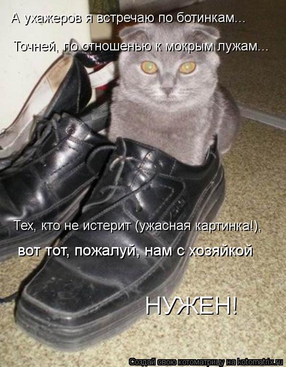 А ухажеров я встречаю по ботинкам... Точней, по отношенью к мокрым лужам... Тех, кто не истерит (ужас... Котоматрица: А ухажеров я встречаю по ботинкам... Точней, по отношенью к мокрым лужам... Тех, кто не истерит (ужасная картинка!), вот тот, пожалуй, нам с хозя