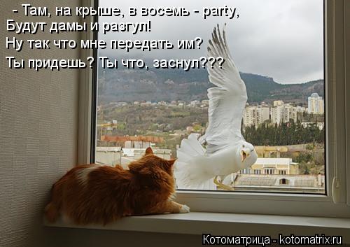- Там, на крыше, в восемь - party, Будут дамы и разгул! Ну так что мне передать им? Ты придешь? Ты чт... Котоматрица: - Там, на крыше, в восемь - party, Будут дамы и разгул! Ну так что мне передать им? Ты придешь? Ты что, заснул???