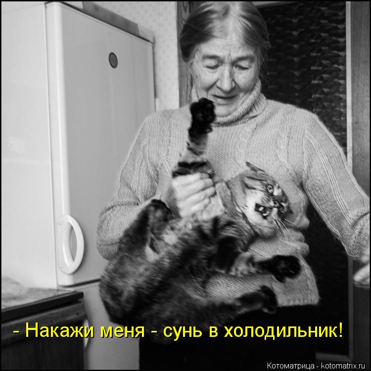 - Накажи меня - сунь в холодильник!... Котоматрица: - Накажи меня - сунь в холодильник!