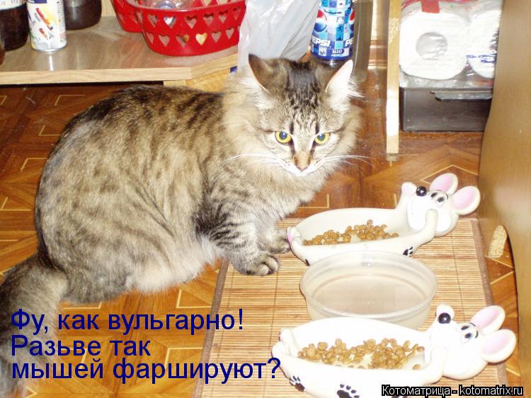 Фу, как вульгарно! Разьве так мышей фаршируют?... Котоматрица: Фу, как вульгарно! Разьве так мышей фаршируют?