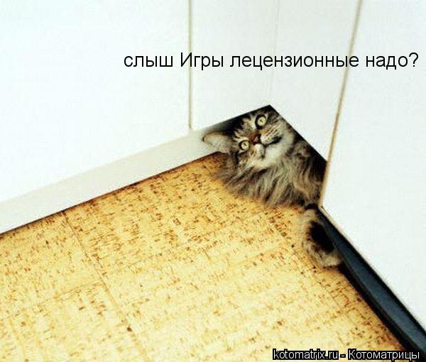 Котоматрица: слыш Игры лецензионные надо?