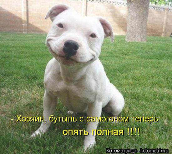 - Хозяин, бутыль с самогоном теперь опять полная !!!!... Котоматрица: - Хозяин, бутыль с самогоном теперь опять полная !!!!