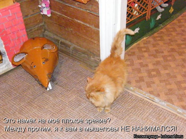 Это намёк на моё плохое зрение? Между прочим, я к вам в мышеловы НЕ НАНИМАЛСЯ!... Котоматрица: Это намёк на моё плохое зрение? Между прочим, я к вам в мышеловы НЕ НАНИМАЛСЯ!