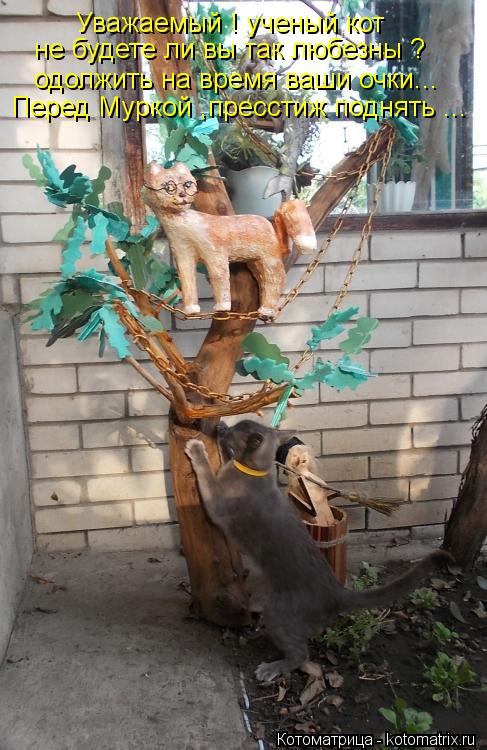 Котоматрица: Уважаемый ! ученый кот  не будете ли вы так любезны ? одолжить на время ваши очки... Перед Муркой ,пресстиж поднять ...