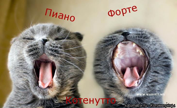 Форте Пиано Котенутто... Котоматрица: Форте Пиано Котенутто