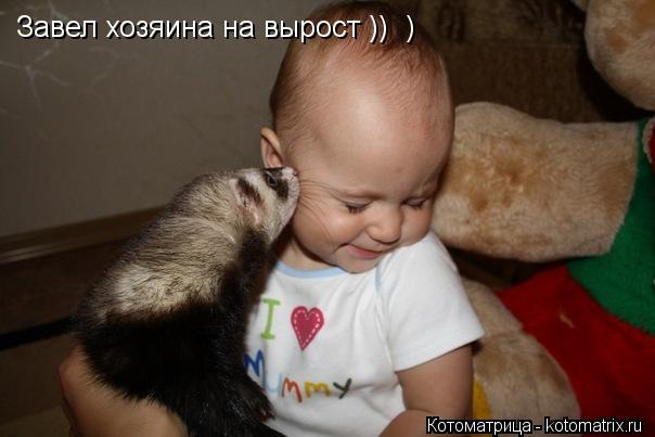 Завел хозяина на вырост )) )... Котоматрица: Завел хозяина на вырост )) )