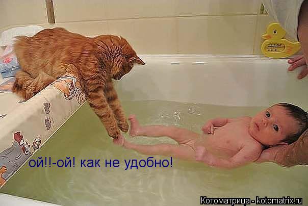 ой!!-ой! как не удобно! ой!!-ой! как не удобно!... Котоматрица: ой!!-ой! как не удобно! ой!!-ой! как не удобно!