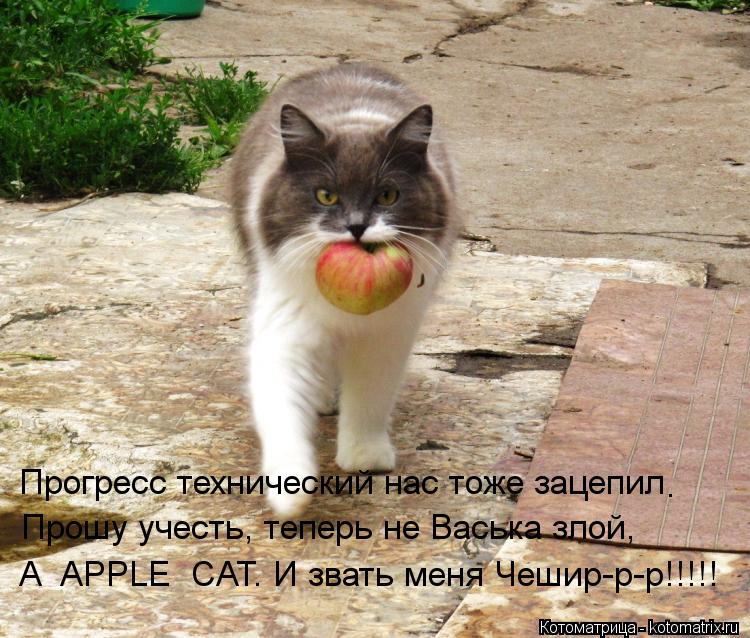 Прогресс технический нас тоже зацепил Прошу учесть, теперь не Васька злой, А APPLE CAT. И звать мен... Котоматрица: Прогресс технический нас тоже зацепил Прошу учесть, теперь не Васька злой, А APPLE CAT. И звать меня Чешир-р-р!!!!! .