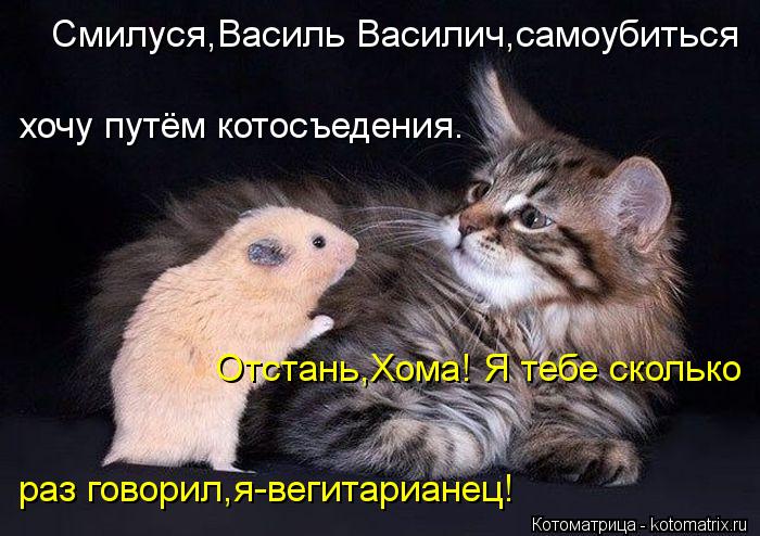 Котоматрица: Смилуся,Василь Василич,самоубиться хочу путём котосъедения. Отстань,Хома! Я тебе сколько раз говорил,я-вегитарианец!