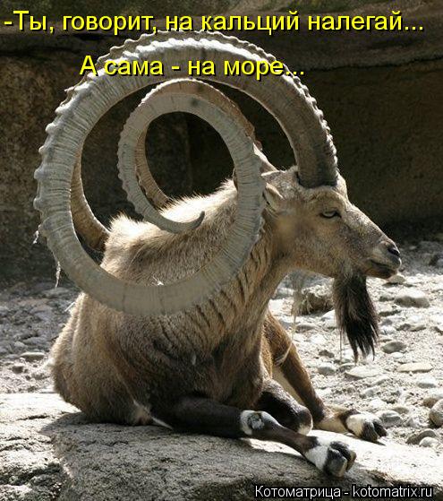 -Ты, говорит, на кальций налегай... А сама - на море...... Котоматрица: -Ты, говорит, на кальций налегай... А сама - на море...