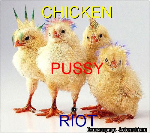 CHICKEN RIOT PUSSY... Котоматрица: CHICKEN RIOT PUSSY